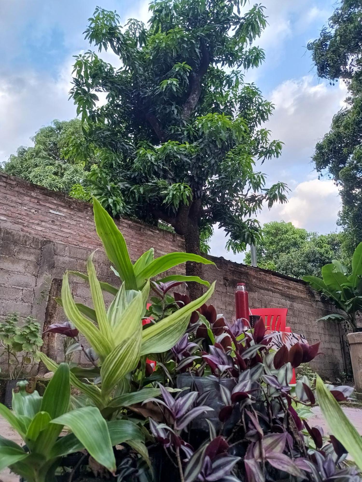 Entre Mangos Y Tucanes Calilegua Buitenkant foto